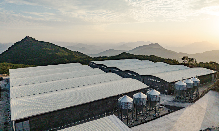 增鑫科技賦能智能豬場建設，開啟養豬新時代
