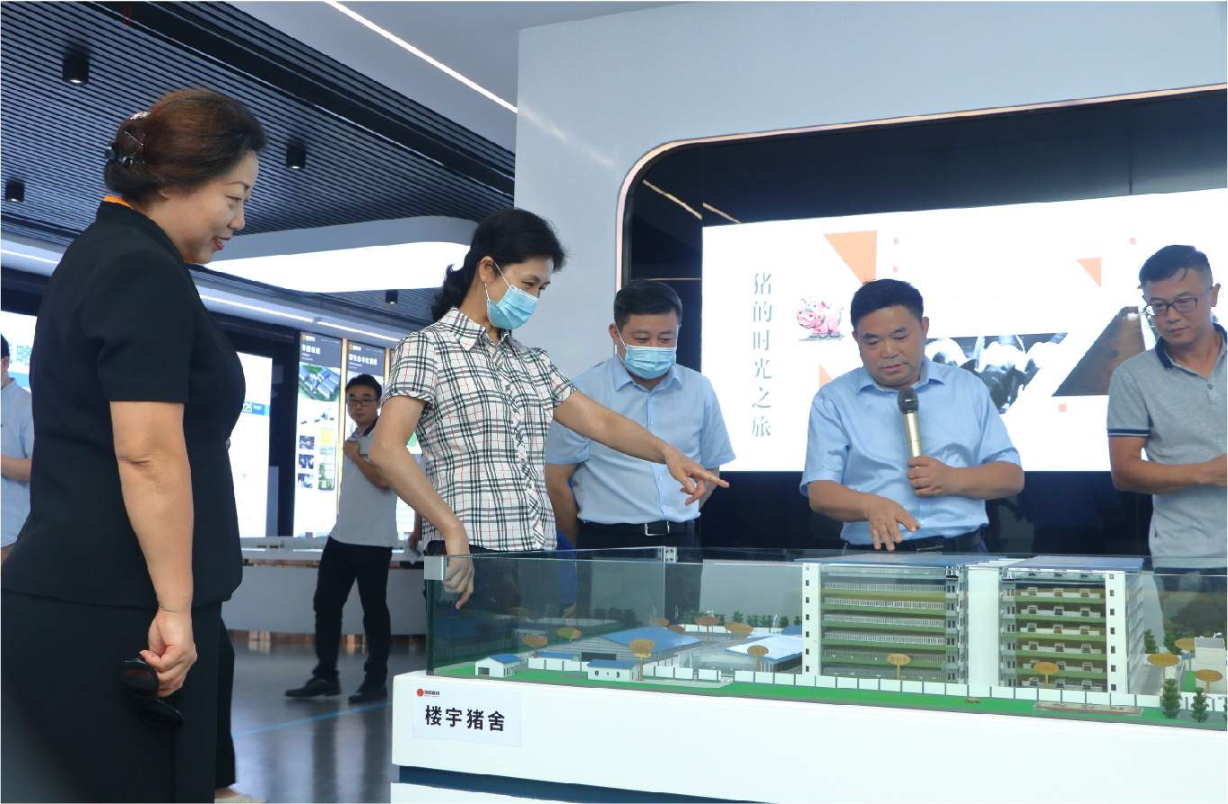 江西省政協副主席謝茹蒞臨增鑫調研